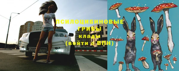 мдпв Навашино