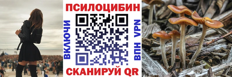 Псилоцибиновые грибы мицелий  Миньяр 